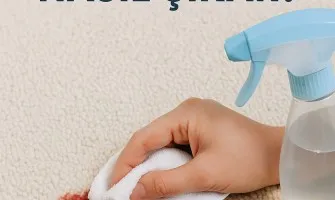 Halıdan Kan Lekesi Çıkarma | Taze ve Kurumuş Lekeler Halıdan Kan Lekesi Çıkarma | Taze ve Kurumuş Lekeler