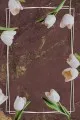 Kaymaz Taban Klozet Takımı Kahverengi Çiçek Desen Banyo Halısı Klozet Paspas Seti BS012