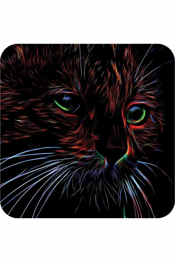 Kaymaz Taban Paspas Siyah Kedi Desenli Banyo Halısı Klozet Paspas Seti BS295