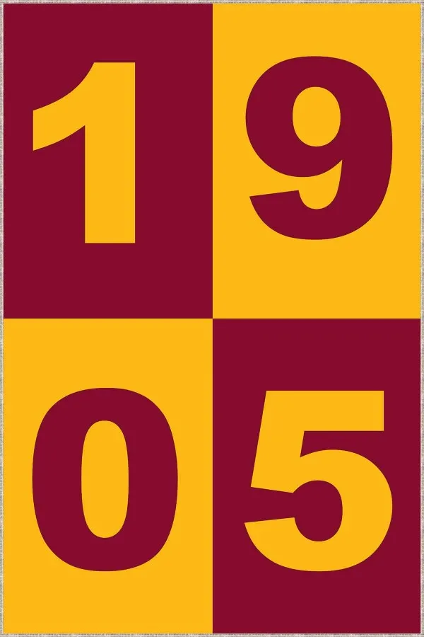 Galatasaray Taraftar Halısı Sarı Kırmızı Kaymaz 1905 Galatasaray Taraftar Halısı KD062