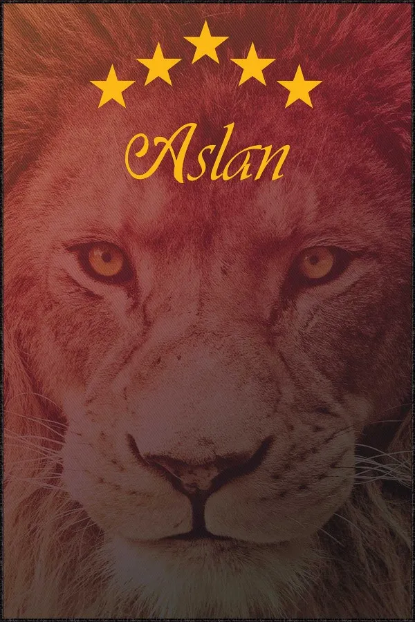 Galatasaray Halı Fiyatları Sarı Kırmızı Kaymaz Taban Galatasaray Taraftar Halısı KD105