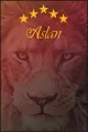 Galatasaray Halı Fiyatları Sarı Kırmızı Kaymaz Taban Galatasaray Taraftar Halısı KD105