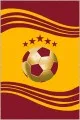 Galatasaray Halı Modelleri Sarı Kırmızı Kaymaz Taban Taraftar Gs Halısı VH055