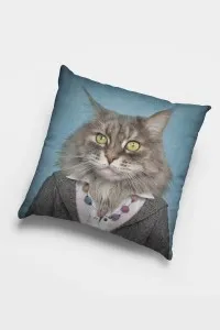 Kedi Kıyafetli Hayvanlar Çift Taraflı Kırlent Kılıfı KRL872