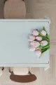 Pembe Mavi Masa Örtüsü Mavi Çiçekli Dokuma Leke Tutmaz Masa Örtüsü MSO441