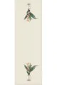 Ranır Desenleri Krem Çiçek Desenli Premium Masa Örtüsü Runner RNR107