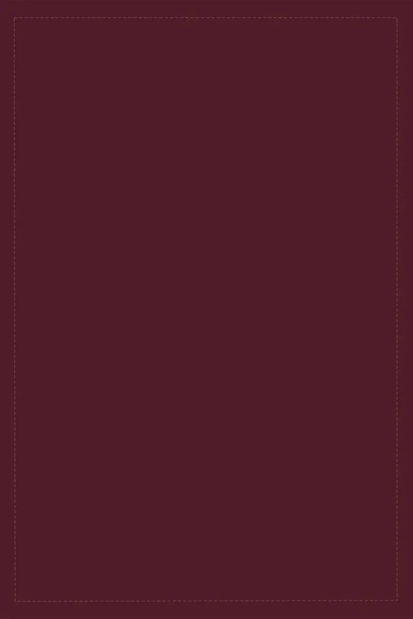 Bordo Amerikan Servis Fiyatları Bordo Desensiz Sade Premium Amerikan Servis ASR007